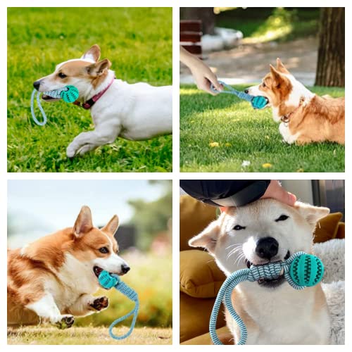 Lusacy 2 Stücke Hundeball mit Schnur, Hundespielzeug Ball mit Seil, Wurfspielzeug Hund Gummi, Hundeball Unzerstörbar 6cm, Kauspielzeug für Große Kleine Hunde Zahnpflege Fangen Tauziehen