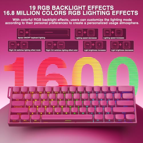 Image of Aula MINI60 HE MAX Wireless Gaming Keyboard 60% Magnetic Switch Keyboard