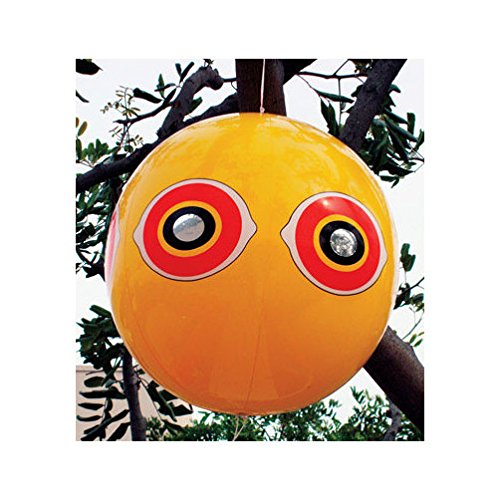 Scare Eye Bird Repellent