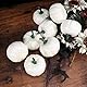 O-Kinee Kürbis Herbst Dekoration Draußen, 12 Stück DIY Kürbis Deko, Künstliche Pflanzen Kürbisse, Weiße Künstliche Kürbis für Herbstpartys Thanksgiving Halloween Dekoration Garten
