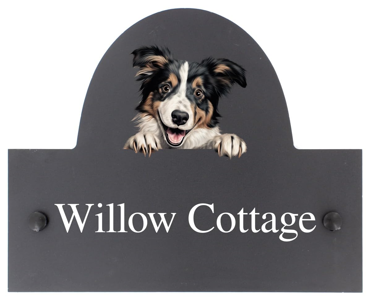 Targhetta personalizzabile con nome o numero civico in ardesia con cane Collie, 25 x 20 cm