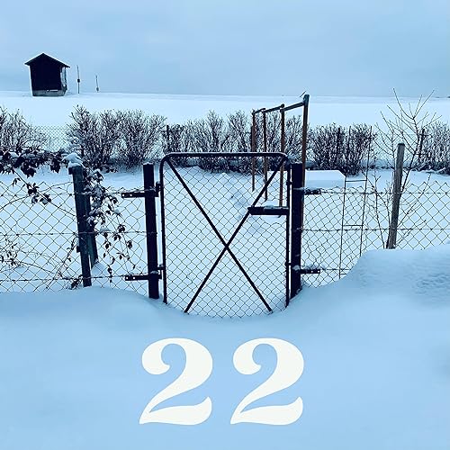 Adventskalender - #22 Blume - Ringelblume