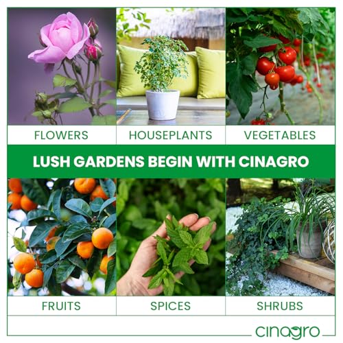 Image of Cinagro Cold Pressed Neem Oil Concentrate (100ml, Makes 25 Litre Spray) Organic, Water-Soluble, Plant Protector, Removes Mealybugs, Fungus & Insect Control for All Plants, Indoor & Outdoor Use