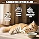 PangWuu 12 Stück Katzen-Spielzeug Set, Katzenminze Sticks und Fummelbrett für Katzen, Natürliche Zahnpflege und Spielspaß für Ihre Katze, Ideal für Katzenzahnpflege und Stimulation