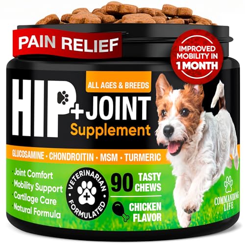 Glucosamine & Chondroitin Advanced Formula Chews
