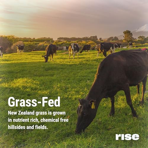 Image of Rise Grass-Fed Whey Protein Powder - Chocolate Almond | 25g Protein No Artificial Flavors, Colors, or Preservatives - Sugar Free, Gluten-Free, Soy Free (Single Serving, 1 Pack)