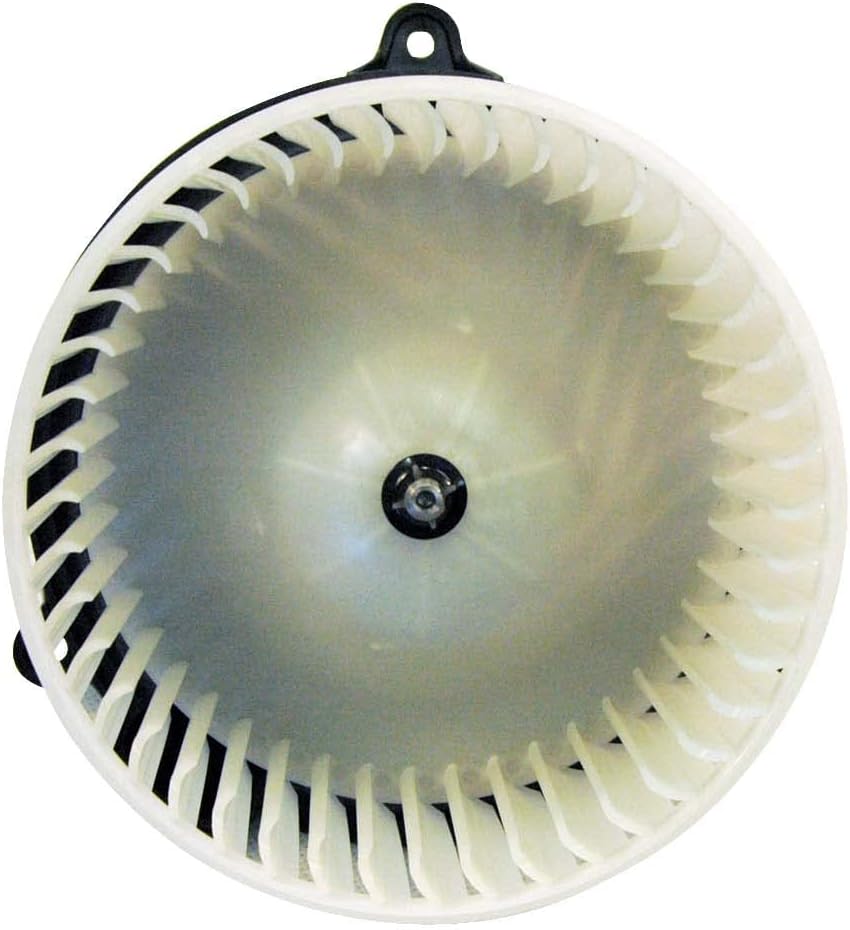 Amazon.com: TYC 700015 Ford/Mercury Replacement Blower Assembly ...