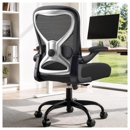 CASASIO Office Desk Chair with Ergonomic Lumbar Support, Extra-Thick Seat Cushion, Flip-up Arms, Breathable Mesh Back, Computer Task Chair for Home Office