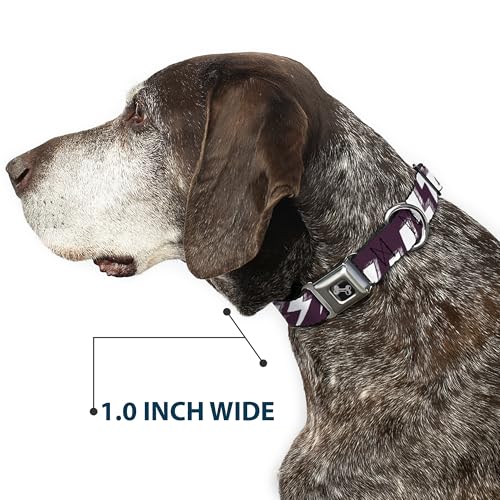 Collier de chien éclairs Buckle Down avec boucle robuste en forme d'os