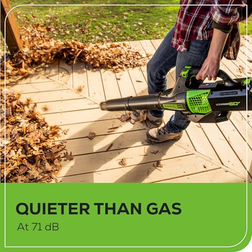 Image of Greenworks 60V (450 CFM / 140 MPH) Cordless Leaf Blower, Variable Speed & Turbo, Lightweight Handheld for Fall Leaf Removal, Yard, Patio, Driveway Outdoor Cleaning, 2.0Ah Battery and Rapid Charger