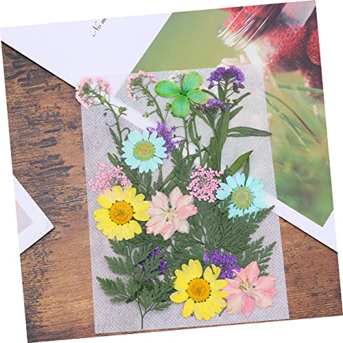 EXCEART 22Pcs Decoração De Scrapbooking Precoce Sobre Resina Prensada Fazendo Cartões Marcador De Li