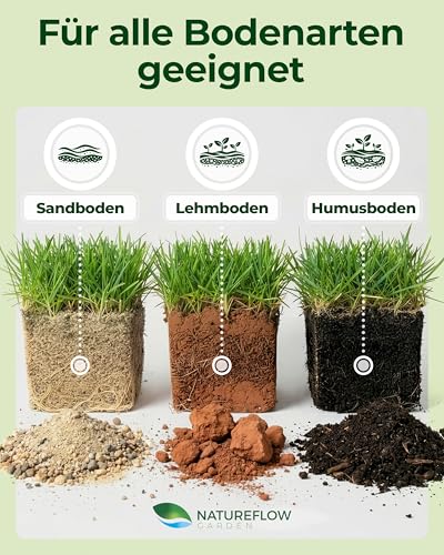 Rasensamen Schnellkeimend Frühjahr – TEST SEHR GUT – Grassamen Schnellkeimend für Rasen & Rasen Nachsaat 1kg 40qm – Rasensaat für Nachsaat Rasen Frühjahr, Saisonstart, kräftiges Wachstum
