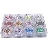 12 Stück Nail Art Puder DIY Nageldekoration Glitter Shining Pigment für Nail Art Salon Feiner Dia...