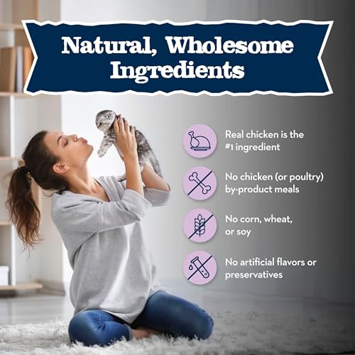 Image of Blue Buffalo Baby Blue Natural Kitten Wet Cat Food, Healthy Growth Formula with DHA, Chicken Recipe Multi-Pack, 3-oz Cans (24 Count)