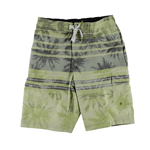Speedo Palm Stripe pour Homme short bain short de plage 53cm