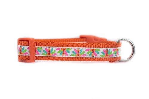 turkey dog collar