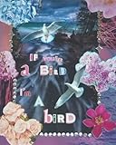 Photo Gallery if you re a bird, i m a bird Photo Gallery if you re a bird, i m a bird