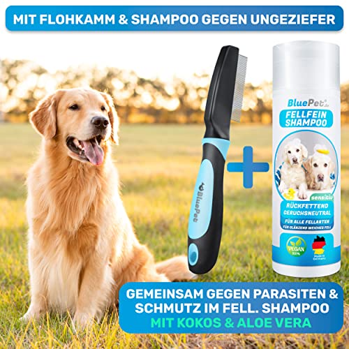 BluePet Robuster Flohkamm & Läusekamm Für Hunde & Katzen I Flöhe, Läuse & Zecken entfernen I Sanfte abgerundete Zinken I Als feiner Hundekamm, Staubkamm, Nissenkamm nutzbar