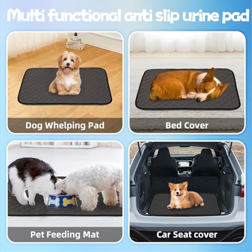 MOAZIFI Hundedecke Auto Wasserdicht 60 x 47 cm - Welpenunterlagen Waschbar, Antirutsch Hundematte für Sofa, Reisen und Training
