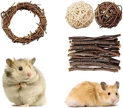 Rieibi Hamster Chew Toys, 4 Pack Small Animal Activity Toys Accessories Teeth Care Molar Toy for Bunny Rabbits Gerbils Guinea Pigs Rats…