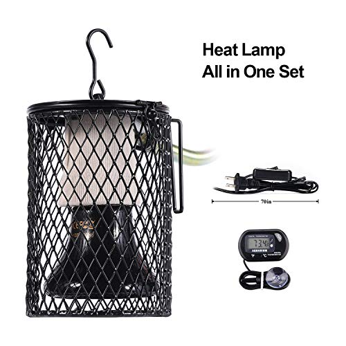 Best Radiant Heater For Chickens