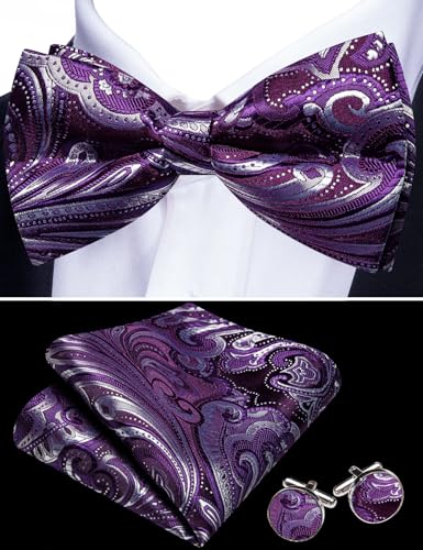 Image of Barry.Wang Men's Suit Vest Tie Bowtie Set Formal Silk Paisley Waistcoat Hanky Cufflinks Lapel Pin Set Wedding Party 7PCS