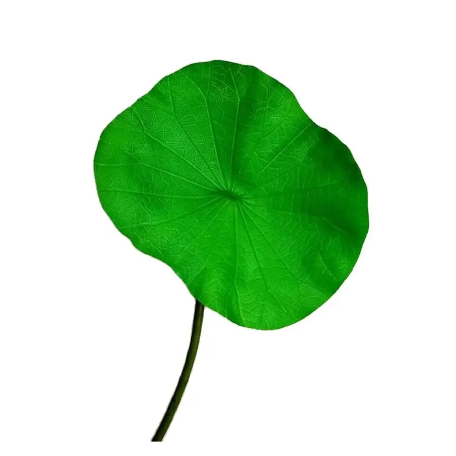 FJQFHH Artificial Lotus Flower, Artificial Lotus Flower With Buds Fruits Leaves Stems(Green Leaf)