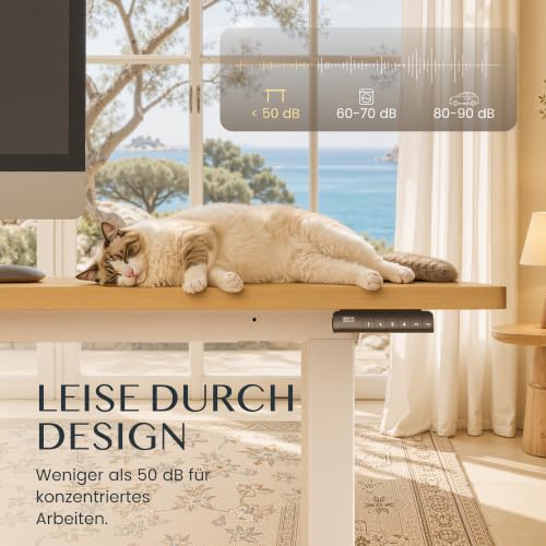FLEXISPOT Höhenverstellbarer Schreibtisch Gestell mit Dual-Motor – Ansicht 6