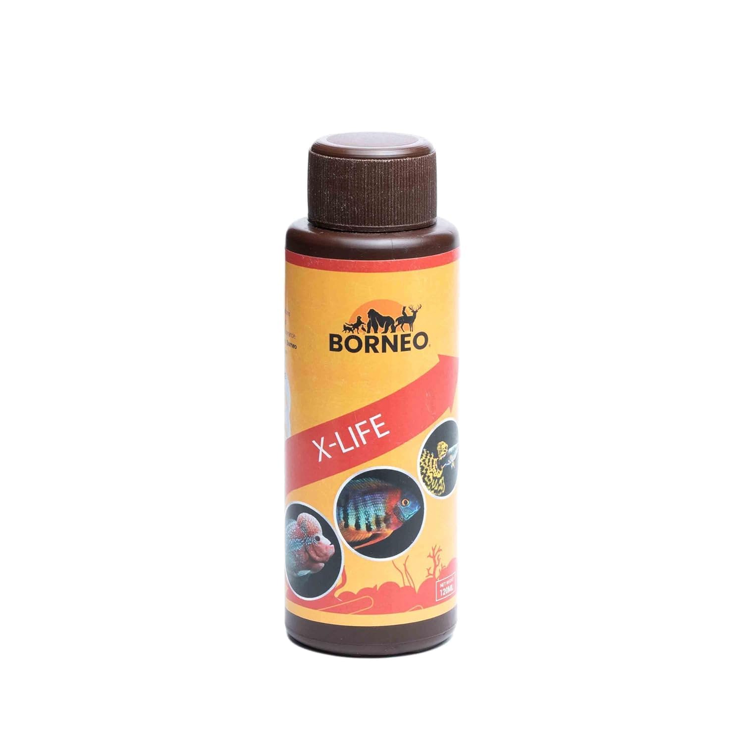 Borneo X Life Fish Food – Premium 120ml Nutrition Boost for Vibrant and Healthy Fish