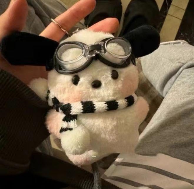 犬のぬいぐるみ キーホルダー付き Amazon.co.jp: 犬のぬいぐるみ ゴーグル付き キーホルダー