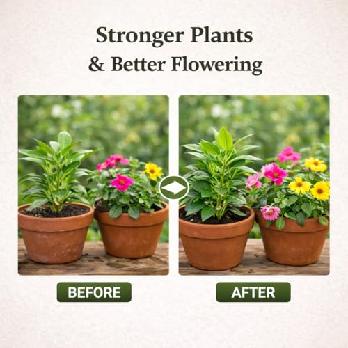 Image of RAMSAGAR Cow Dung Ash Powder for Plants | Natural Gobar Ash for Gardening & Home Garden | 900g
