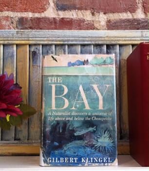 The bay;: A naturalist discovers a universe of life above and below the Chesapeake