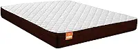 Colchão Molas Qatar Marrom/Branco - Suporta até 200kg Por Pessoa (Casal)