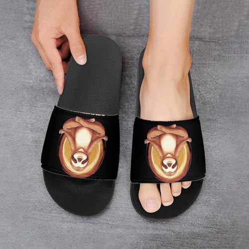 Sloth Energy Saving Mode Slippers for Men Wormen Shower Bathroom Slipper Indoor Beach Non Slip Sandal 6