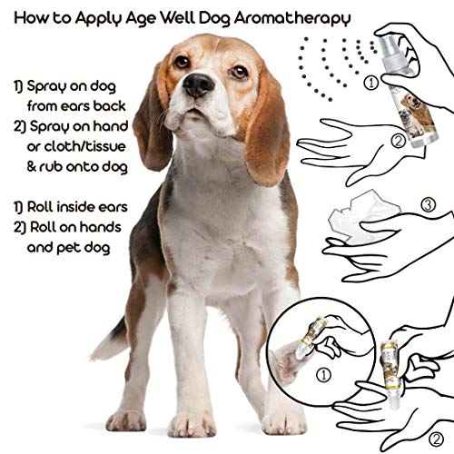 Image of The Blissful Dog Beagle Age Well Dog Aromatherapy Roll-On Bottle for Your Dog's Peaceful Ageing