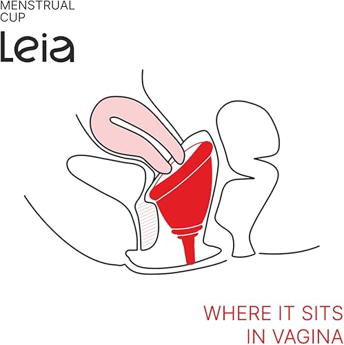 Miniatura 7 de Leia Copa menstrual suave con estuche de transporte de metal  Diseño OBGYN  Cuello bajo  Borde firme  Soporte muscular  Tazas para adolescentes