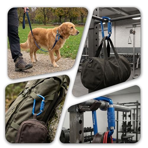 Image of FresKaro 3inch 12kN-2698lbs Auto Locking Carabiner Clips, Solid D Shape, Heavy Duty 7075 Aluminum, Lightweight 1.09oz, Rust Proof, for Hammock, Hiking, Dog Leash, Keychain etc., Multi-Colors