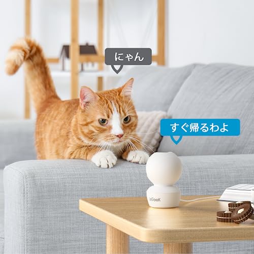 Image of ieGeek Camera for Home