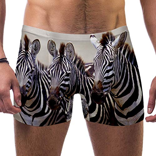 LORVIES Maillot de bain trois zèbres pour homme Short Coupe carrée Coupe courte Maillot de bain à séchage rapide Taille S -  - M Cover