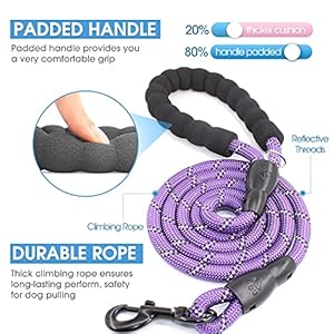 BAAPET 2 Packs 5/6 FT Dog Leash with Comfortable Padded Handle and Highly Reflective Threads Dog Leashes for Small Medium and Large Dogs (5FT-1/2”, Black+Purple)