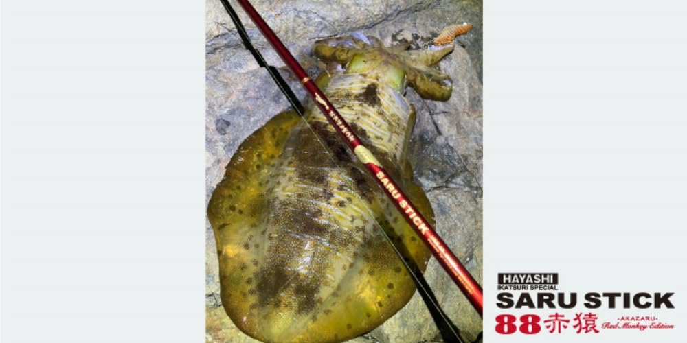 Amazon | 林釣漁具製作所(HAYASHI) SARU STICK 赤猿 HSS-88 S-custom