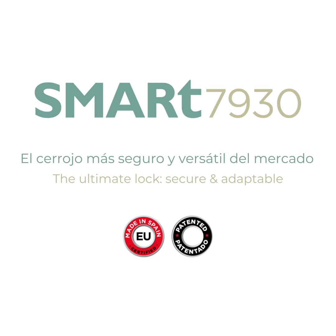 Lince SMARt7930 Cerradura inteligente para puerta – Cerrajo con alarma de 100 dB, control por aplicación, control remoto y llave reversible de alta seguridad – Recargable por USB-C – Color Plata | Aplicación móvil, control remoto, apertura mecánica con ll