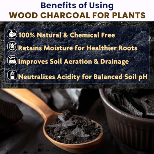 Image of Garden Genie Wood Charcoal for Plants 1 Kg| Horticultural Charcoal for Orchid Potting, Terrariums Plants Etc | Multipurpose Use for Havan, BBQ, Cooking, Pooja Dhoop & Gardening