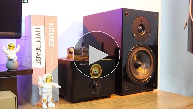 nobsound b100 真空管hybridアンプ Amazon.com: Nobsound B100 Bluetooth 5.0 Tube Amplifier USB