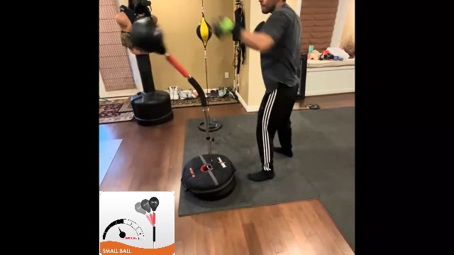 MaxxMMA パンチングボール2.0 Amazon.com : MaxxMMA Advanced Cobra Reflex Bag Kit 2.0