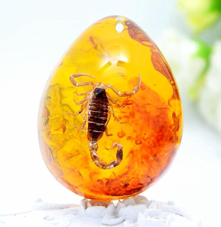 Image of EatingBiting Resin Amber Insect Pendant Scorpion Fossil Stone Crystal Home Decoration Samples Stones Specimens Home Decorations Collection Oval
