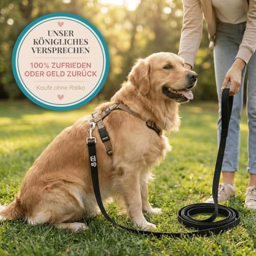 HUND IST KÖNIG Schleppleine 10m für Hunde - Hundeleine 10m mit Griffpolster - Robuste Hunde Schleppleine, wasserabweisend & schmutzunempfindlich - für erfolgreiches Hundetraining inkl. eBook