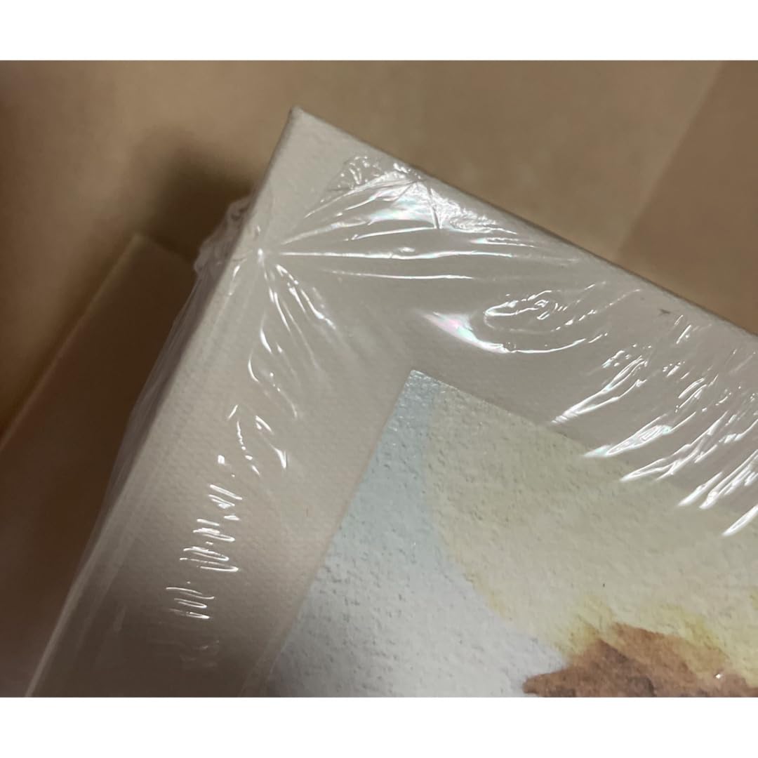 [新品未開封] IU ドキュメンタリー 彫刻集 （ 29歳の冬 ）希少　廃盤 IU｜ドキュメンタリー『彫刻屋 : 29歳の冬』DVD + Blu-ray + CD