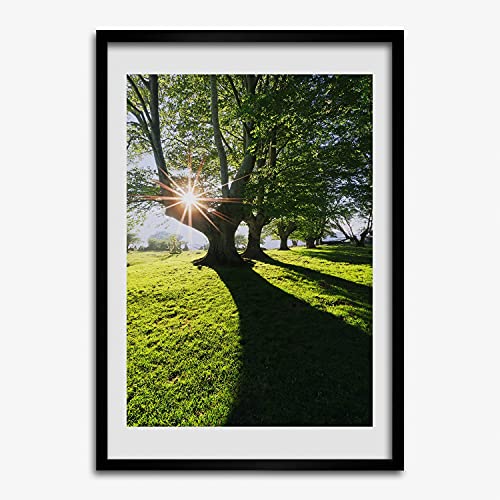 Peinture de parc 50x70 cm et son cadre en bois MDF Tulup pour une deco interieure chic