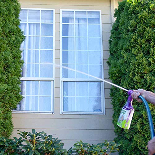 Rejuvenate High Performance Outdoor Window Spray And Rinse Cleaner With Hose End Adapter Instantly Removes Grime And Dirt Streak-Free Shine (32 Oz) #TOP2